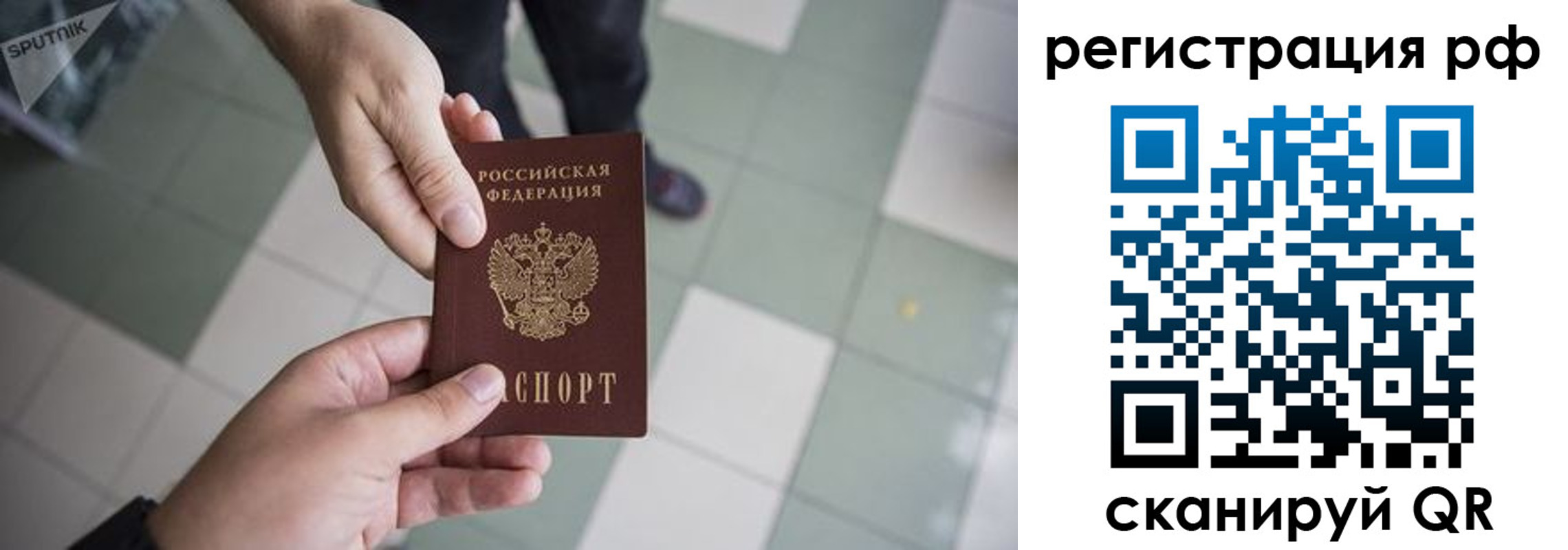 прописка гарантия в Воронеже